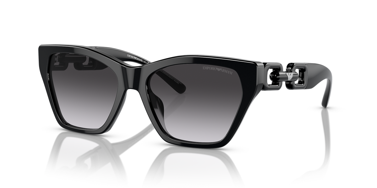 Shiny Black