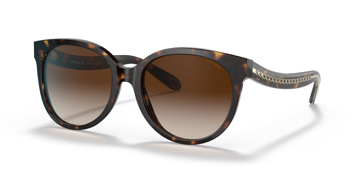 Dark Tortoise
