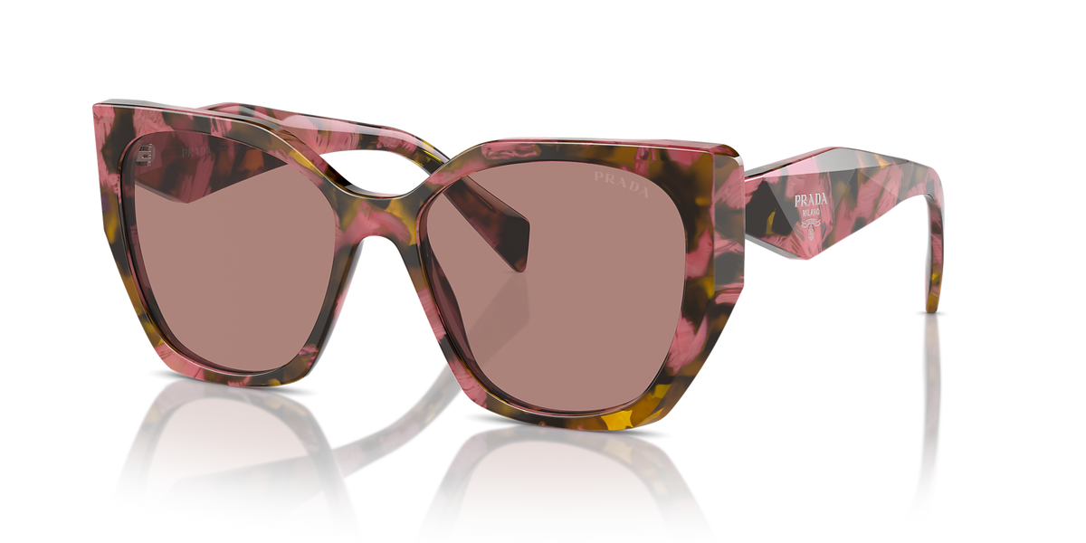 Tortoise Cognac Begonia
