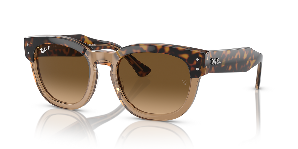 Havana On Transparent Brown