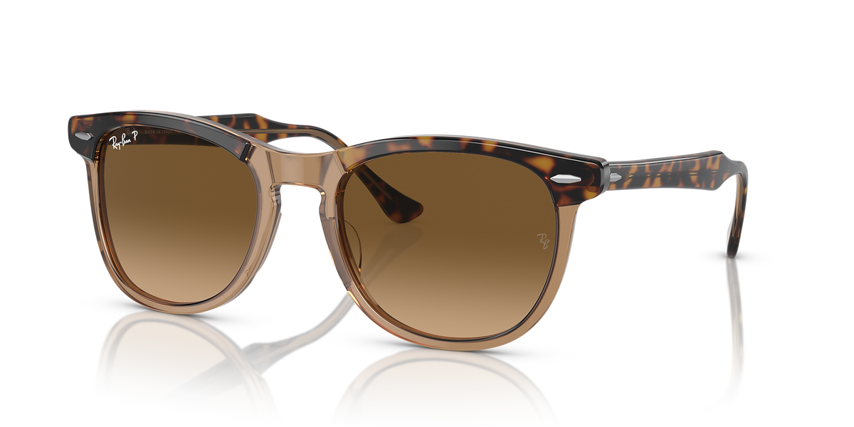Havana On Transparent Brown