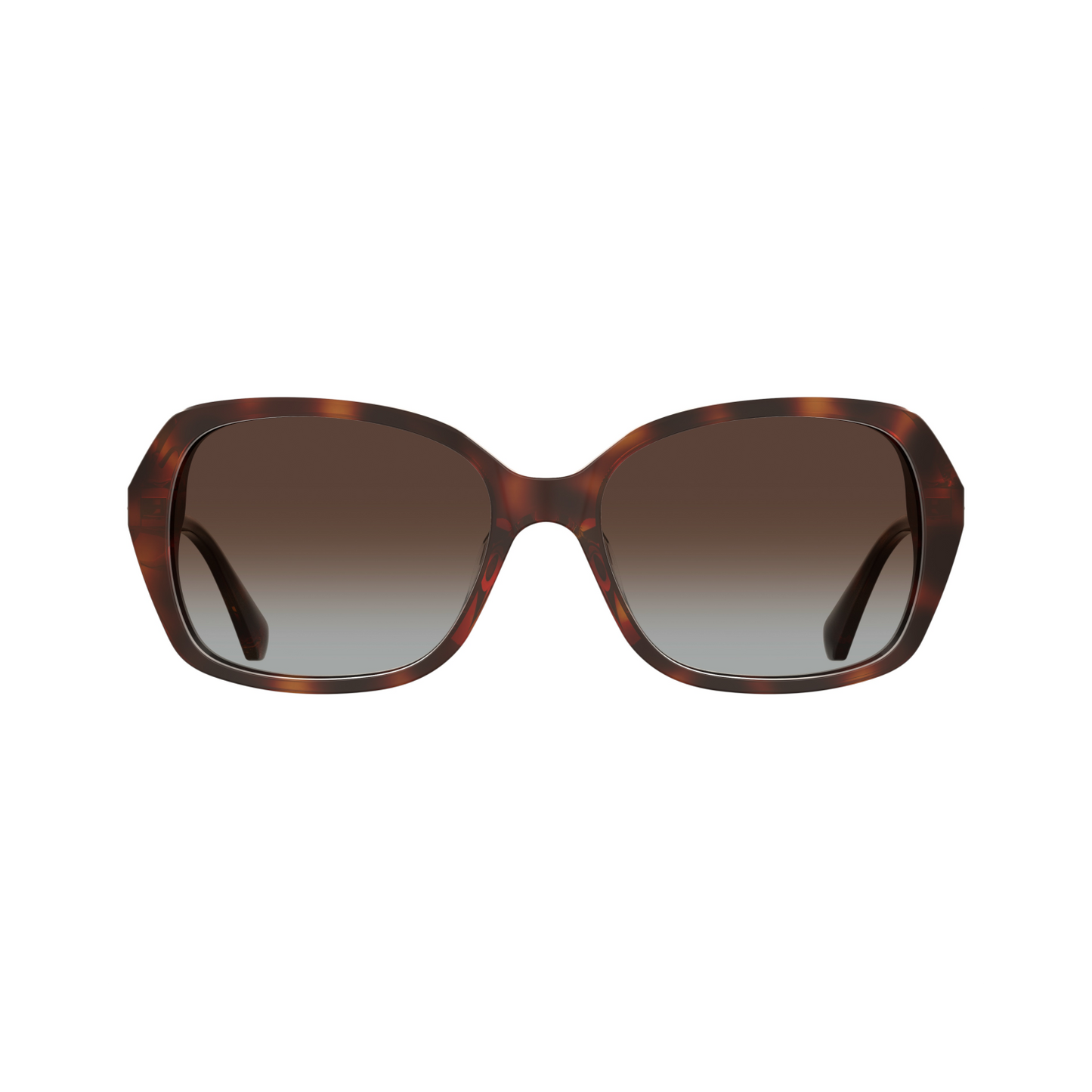 Kate Spade YVETTE/S Brown Havana Women's Sunglasses