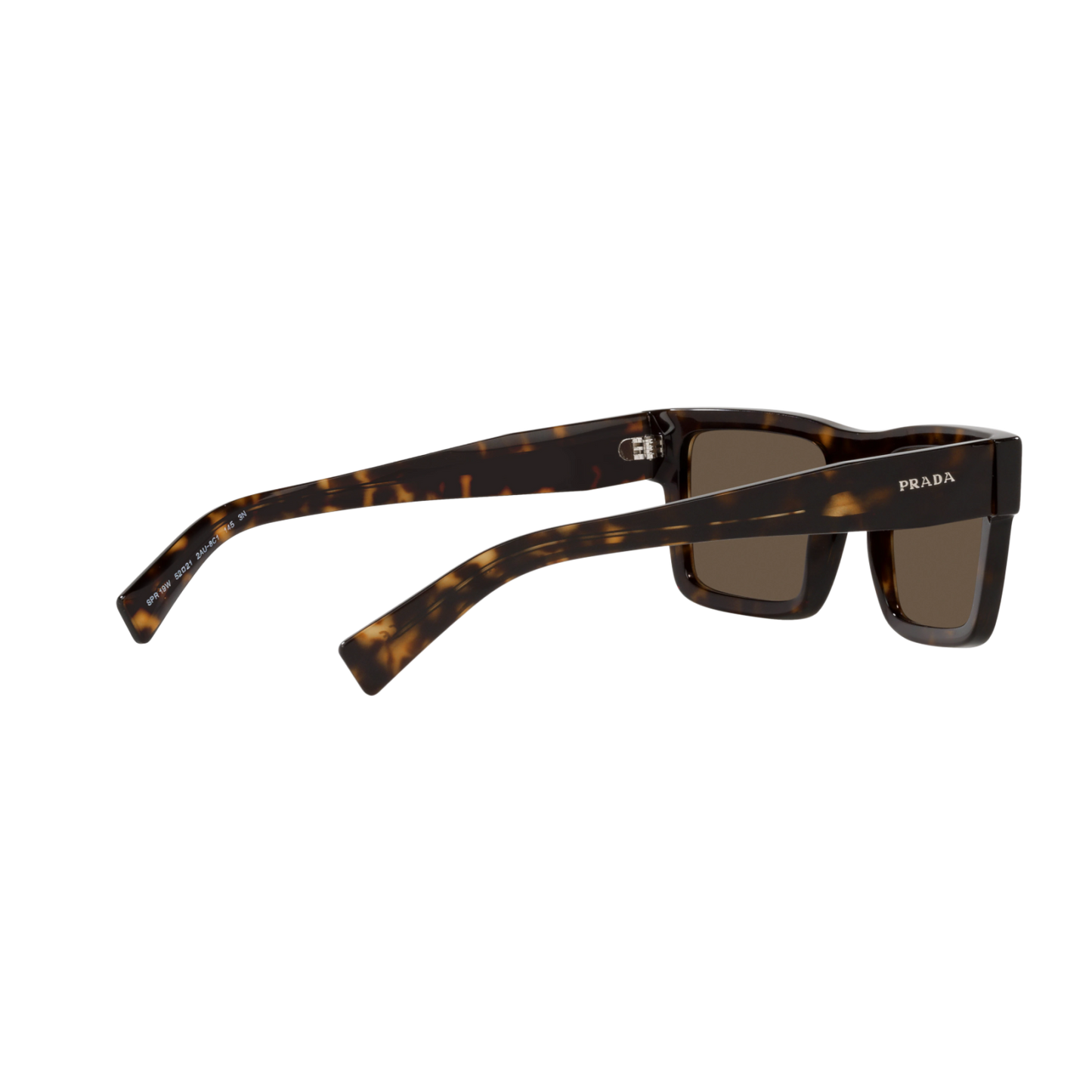 Prada PR 19WSF PR 19WSF Havana Men's Sunglasses