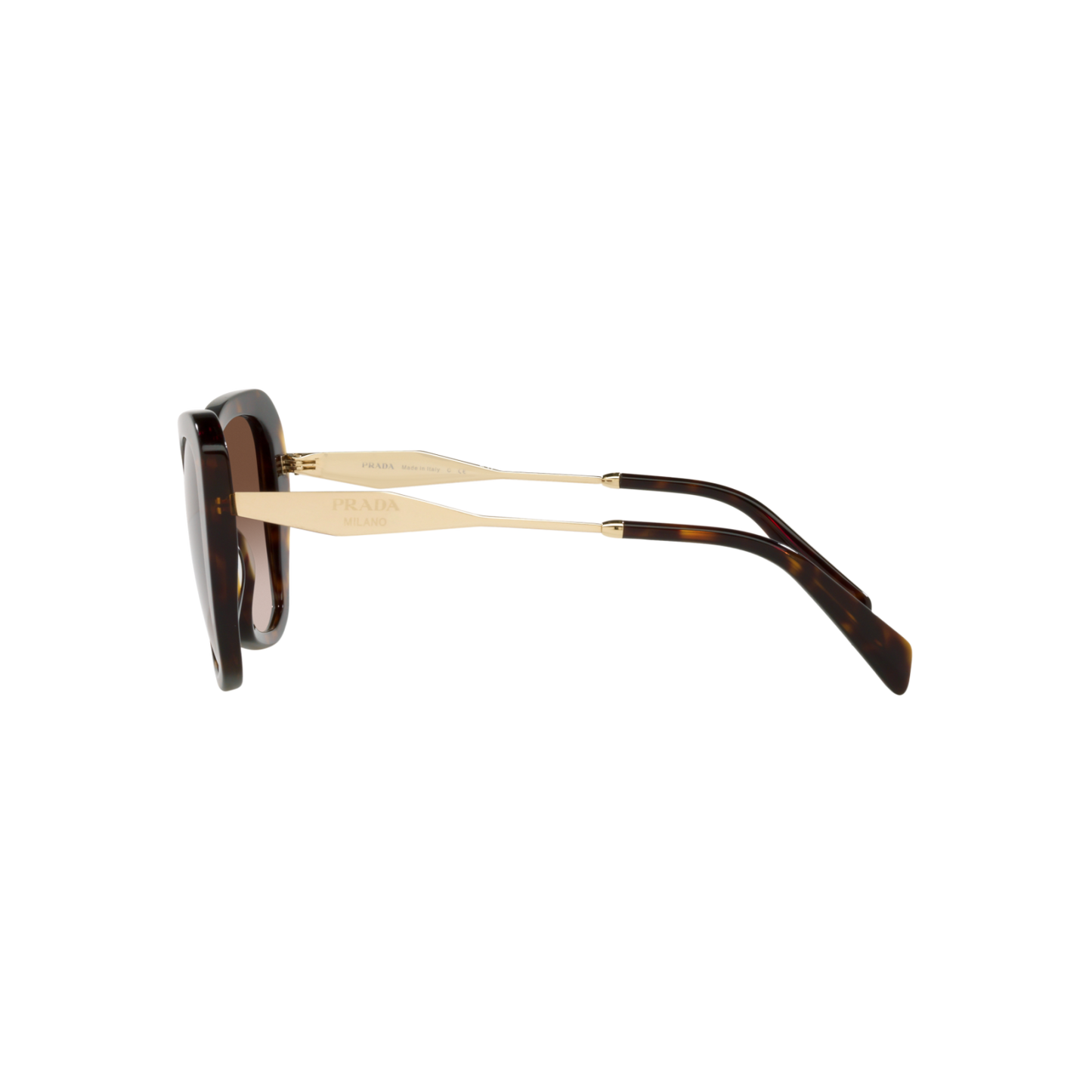 Prada PR 03YSF PR 03YSF Havana Women's Sunglasses