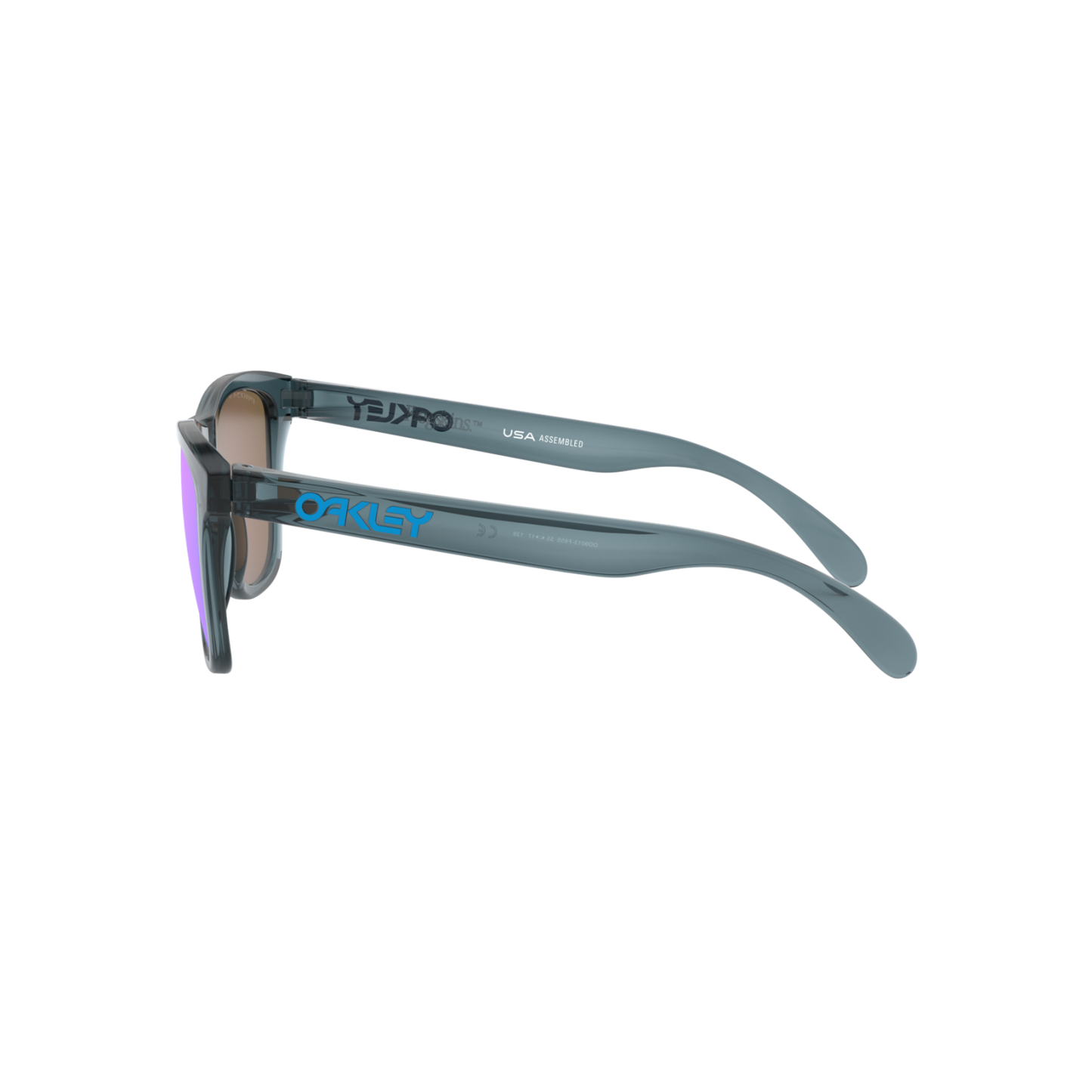 Oakley FROGSKINS OO9013 Blue Men's Polarized Sunglasses