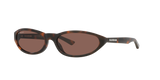 Tortoise