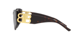 Tortoise