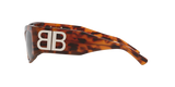 Tortoise