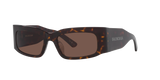 Tortoise