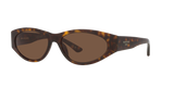 Tortoise