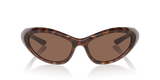 Tortoise