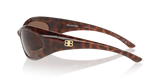 Tortoise