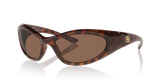Tortoise