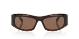 Tortoise