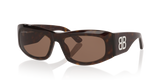 Tortoise
