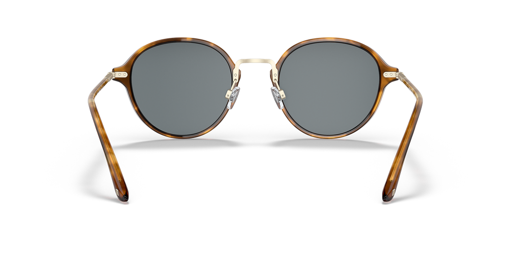 Brown Tortoise