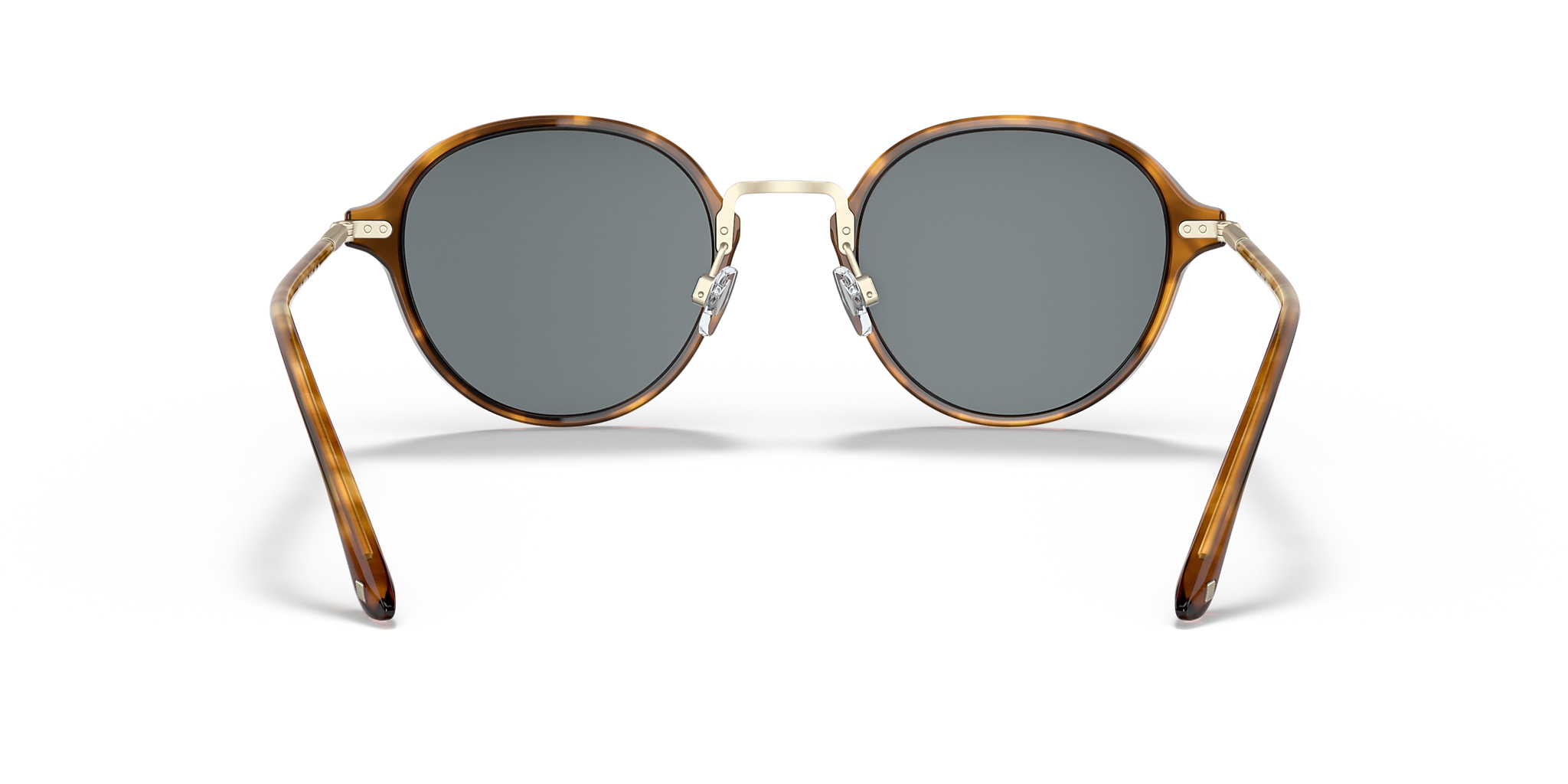 Brown Tortoise