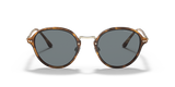 Brown Tortoise
