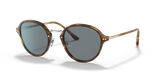 Brown Tortoise
