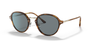 Brown Tortoise - Blue