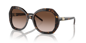 Havana - Gradient Brown