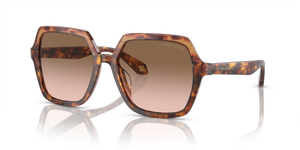 Orange Havana/Red Havana - Brown Gradient