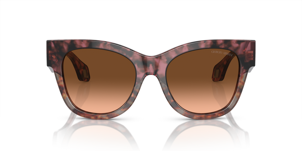Bordeaux Havana/Havana Grey