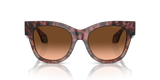 Bordeaux Havana/Havana Grey