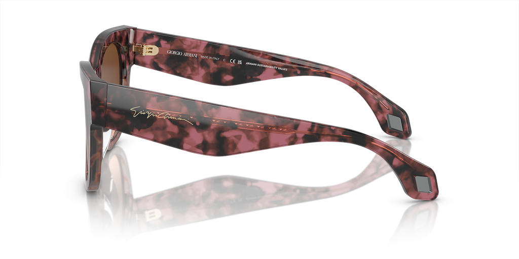 Bordeaux Havana/Havana Grey