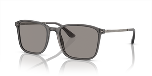 Transparent Grey - Photocromatic Grey