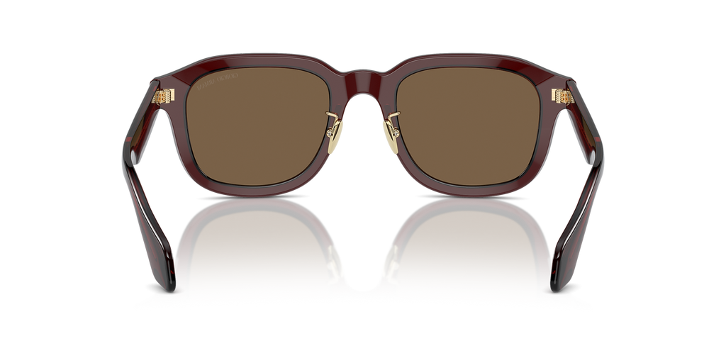Transparent Brown