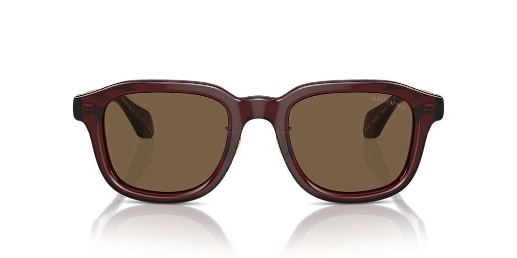 Transparent Brown