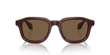 Transparent Brown