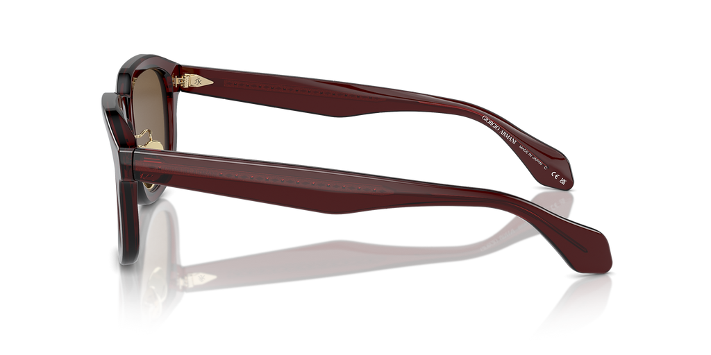 Transparent Brown