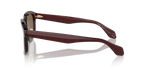 Transparent Brown