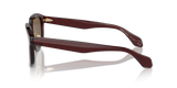 Transparent Brown