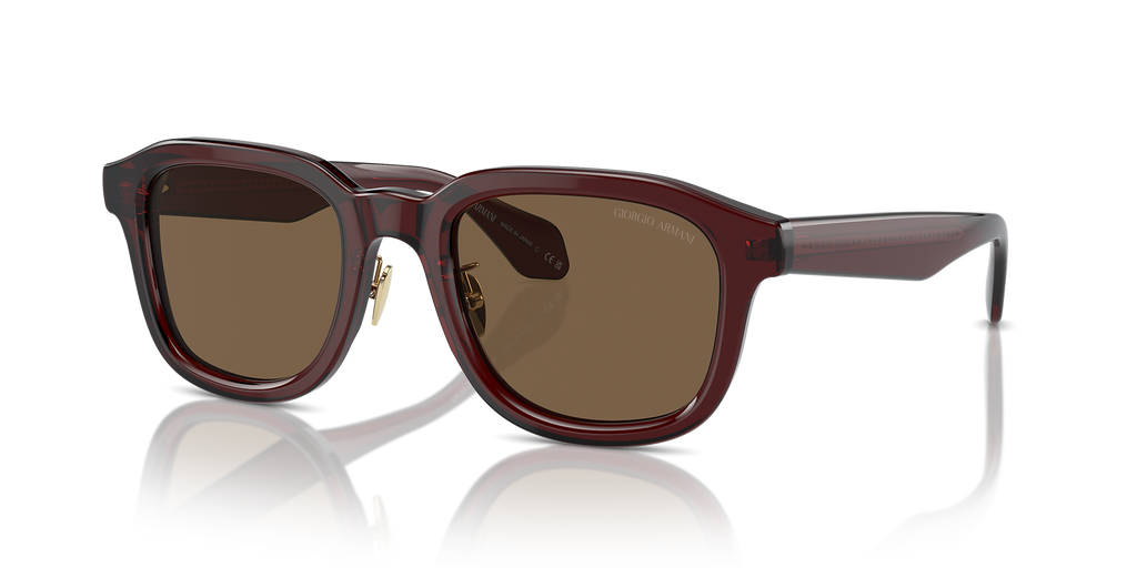 Transparent Brown