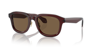 Transparent Brown - Dark Brown