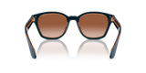 Top Blue/Transparent Brown