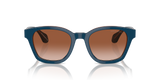 Top Blue/Transparent Brown