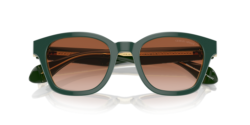 Top Green/Olive Transparent