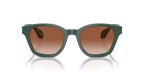 Top Green/Olive Transparent