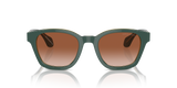 Top Green/Olive Transparent
