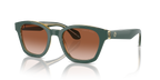 Top Green/Olive Transparent