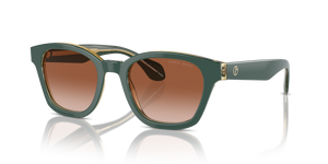 Top Green/Olive Transparent - Gradient Brown