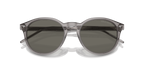 Transparent Grey