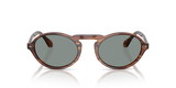 Striped Brown