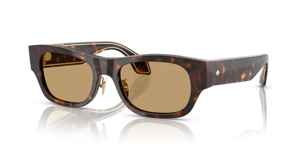 Giorgio Armani AR8224