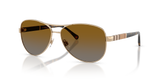 Light Gold - Polar Brown Gradient