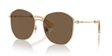 Light Gold - Dark Brown